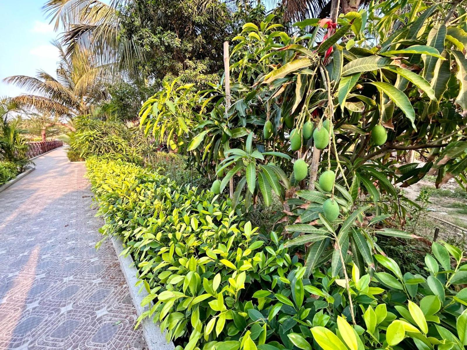 Palli Bangla Resort, Near Ruby Hospital, Anandapur コルカタ エクステリア 写真
